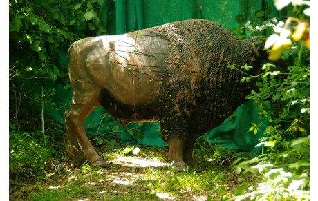 Fête de l'AVA 2016