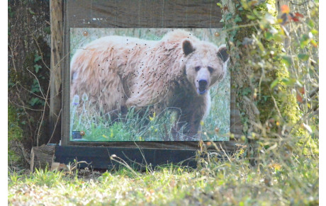 Nettoyage pour concours